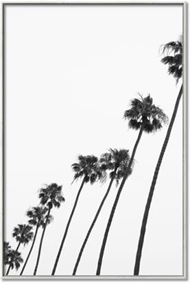 Picture of Cali Cathedrals IV