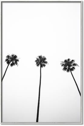 Picture of Cali Cathedrals III