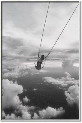 Picture of Sky High Swing