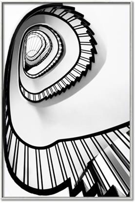 Picture of The Spiral