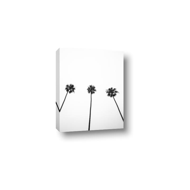 Picture of Cali Cathedrals III _GroupedProduct_Rectangle_Portrait_Photography _GroupedProduct_Rectangle_Portrait_Canvas_