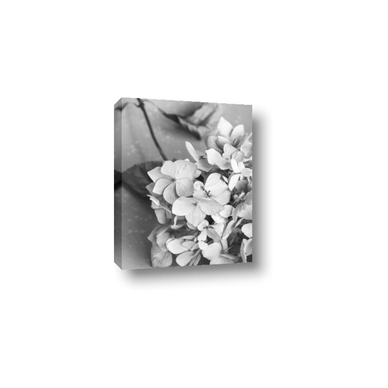 Picture of The Flowers He Gave _GroupedProduct_Rectangle_Portrait_Photography _GroupedProduct_Rectangle_Portrait_Canvas_