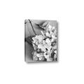 Picture of The Flowers He Gave _GroupedProduct_Rectangle_Portrait_Photography _GroupedProduct_Rectangle_Portrait_Canvas_