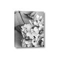 Picture of The Flowers He Gave _GroupedProduct_Rectangle_Portrait_Photography _GroupedProduct_Rectangle_Portrait_Canvas_