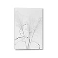 Picture of Whispering Mirage Dried Grass _GroupedProduct_Rectangle_Portrait_Photography _GroupedProduct_Rectangle_Portrait_Canvas_