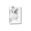 Picture of White Floral Hues _GroupedProduct_Rectangle_Portrait_Photography _GroupedProduct_Rectangle_Portrait_Canvas_