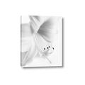 Picture of White Floral Hues _GroupedProduct_Rectangle_Portrait_Photography _GroupedProduct_Rectangle_Portrait_Canvas_
