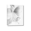 Picture of White Floral Hues _GroupedProduct_Rectangle_Portrait_Photography _GroupedProduct_Rectangle_Portrait_Canvas_