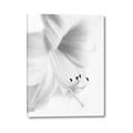 Picture of White Floral Hues _GroupedProduct_Rectangle_Portrait_Photography _GroupedProduct_Rectangle_Portrait_Canvas_