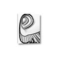 Picture of The Spiral _GroupedProduct_Rectangle_Portrait_Photography _GroupedProduct_Rectangle_Portrait_Canvas_