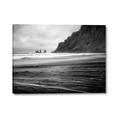 Picture of Vik trails _GroupedProduct_Rectangle_Landscape_Photography _GroupedProduct_Rectangle_Landscape_Canvas_