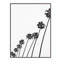 Picture of Cali Cathedrals IV _GroupedProduct_Rectangle_Portrait_Photography _GroupedProduct_Rectangle_Portrait_Canvas_Framed_