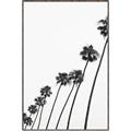 Picture of Cali Cathedrals IV _GroupedProduct_Rectangle_Portrait_Photography _GroupedProduct_Rectangle_Portrait_Canvas_Framed_