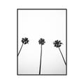 Picture of Cali Cathedrals III _GroupedProduct_Rectangle_Portrait_Photography _GroupedProduct_Rectangle_Portrait_Canvas_Framed_