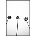 Picture of Cali Cathedrals III _GroupedProduct_Rectangle_Portrait_Photography _GroupedProduct_Rectangle_Portrait_Canvas_Framed_