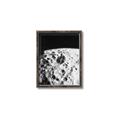 Picture of Moon Landing _GroupedProduct_Rectangle_Portrait_Photography _GroupedProduct_Rectangle_Portrait_Canvas_Framed_