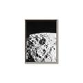 Picture of Moon Landing _GroupedProduct_Rectangle_Portrait_Photography _GroupedProduct_Rectangle_Portrait_Canvas_Framed_