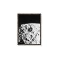 Picture of Moon Landing _GroupedProduct_Rectangle_Portrait_Photography _GroupedProduct_Rectangle_Portrait_Canvas_Framed_