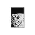 Picture of Moon Landing _GroupedProduct_Rectangle_Portrait_Photography _GroupedProduct_Rectangle_Portrait_Canvas_Framed_