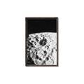 Picture of Moon Landing _GroupedProduct_Rectangle_Portrait_Photography _GroupedProduct_Rectangle_Portrait_Canvas_Framed_