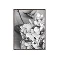 Picture of The Flowers He Gave _GroupedProduct_Rectangle_Portrait_Photography _GroupedProduct_Rectangle_Portrait_Canvas_Framed_