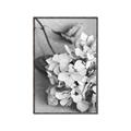 Picture of The Flowers He Gave _GroupedProduct_Rectangle_Portrait_Photography _GroupedProduct_Rectangle_Portrait_Canvas_Framed_