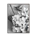 Picture of The Flowers He Gave _GroupedProduct_Rectangle_Portrait_Photography _GroupedProduct_Rectangle_Portrait_Canvas_Framed_