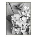 Picture of The Flowers He Gave _GroupedProduct_Rectangle_Portrait_Photography _GroupedProduct_Rectangle_Portrait_Canvas_Framed_