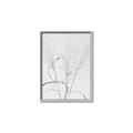 Picture of Whispering Mirage Dried Grass _GroupedProduct_Rectangle_Portrait_Photography _GroupedProduct_Rectangle_Portrait_Canvas_Framed_