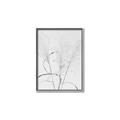 Picture of Whispering Mirage Dried Grass _GroupedProduct_Rectangle_Portrait_Photography _GroupedProduct_Rectangle_Portrait_Canvas_Framed_