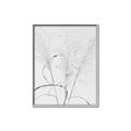 Picture of Whispering Mirage Dried Grass _GroupedProduct_Rectangle_Portrait_Photography _GroupedProduct_Rectangle_Portrait_Canvas_Framed_