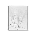 Picture of Whispering Mirage Dried Grass _GroupedProduct_Rectangle_Portrait_Photography _GroupedProduct_Rectangle_Portrait_Canvas_Framed_
