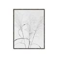 Picture of Whispering Mirage Dried Grass _GroupedProduct_Rectangle_Portrait_Photography _GroupedProduct_Rectangle_Portrait_Canvas_Framed_