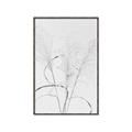 Picture of Whispering Mirage Dried Grass _GroupedProduct_Rectangle_Portrait_Photography _GroupedProduct_Rectangle_Portrait_Canvas_Framed_