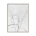 Picture of Whispering Mirage Dried Grass _GroupedProduct_Rectangle_Portrait_Photography _GroupedProduct_Rectangle_Portrait_Canvas_Framed_