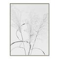 Picture of Whispering Mirage Dried Grass _GroupedProduct_Rectangle_Portrait_Photography _GroupedProduct_Rectangle_Portrait_Canvas_Framed_