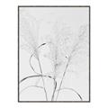 Picture of Whispering Mirage Dried Grass _GroupedProduct_Rectangle_Portrait_Photography _GroupedProduct_Rectangle_Portrait_Canvas_Framed_