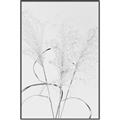 Picture of Whispering Mirage Dried Grass _GroupedProduct_Rectangle_Portrait_Photography _GroupedProduct_Rectangle_Portrait_Canvas_Framed_