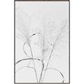 Picture of Whispering Mirage Dried Grass _GroupedProduct_Rectangle_Portrait_Photography _GroupedProduct_Rectangle_Portrait_Canvas_Framed_