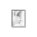 Picture of White Floral Hues _GroupedProduct_Rectangle_Portrait_Photography _GroupedProduct_Rectangle_Portrait_Canvas_Framed_