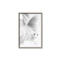 Picture of White Floral Hues _GroupedProduct_Rectangle_Portrait_Photography _GroupedProduct_Rectangle_Portrait_Canvas_Framed_