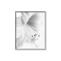 Picture of White Floral Hues _GroupedProduct_Rectangle_Portrait_Photography _GroupedProduct_Rectangle_Portrait_Canvas_Framed_