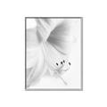 Picture of White Floral Hues _GroupedProduct_Rectangle_Portrait_Photography _GroupedProduct_Rectangle_Portrait_Canvas_Framed_