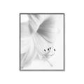 Picture of White Floral Hues _GroupedProduct_Rectangle_Portrait_Photography _GroupedProduct_Rectangle_Portrait_Canvas_Framed_
