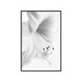 Picture of White Floral Hues _GroupedProduct_Rectangle_Portrait_Photography _GroupedProduct_Rectangle_Portrait_Canvas_Framed_