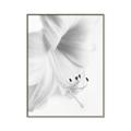 Picture of White Floral Hues _GroupedProduct_Rectangle_Portrait_Photography _GroupedProduct_Rectangle_Portrait_Canvas_Framed_