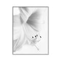 Picture of White Floral Hues _GroupedProduct_Rectangle_Portrait_Photography _GroupedProduct_Rectangle_Portrait_Canvas_Framed_