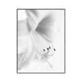 Picture of White Floral Hues _GroupedProduct_Rectangle_Portrait_Photography _GroupedProduct_Rectangle_Portrait_Canvas_Framed_
