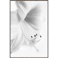 Picture of White Floral Hues _GroupedProduct_Rectangle_Portrait_Photography _GroupedProduct_Rectangle_Portrait_Canvas_Framed_