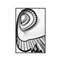 Picture of The Spiral _GroupedProduct_Rectangle_Portrait_Photography _GroupedProduct_Rectangle_Portrait_Canvas_Framed_